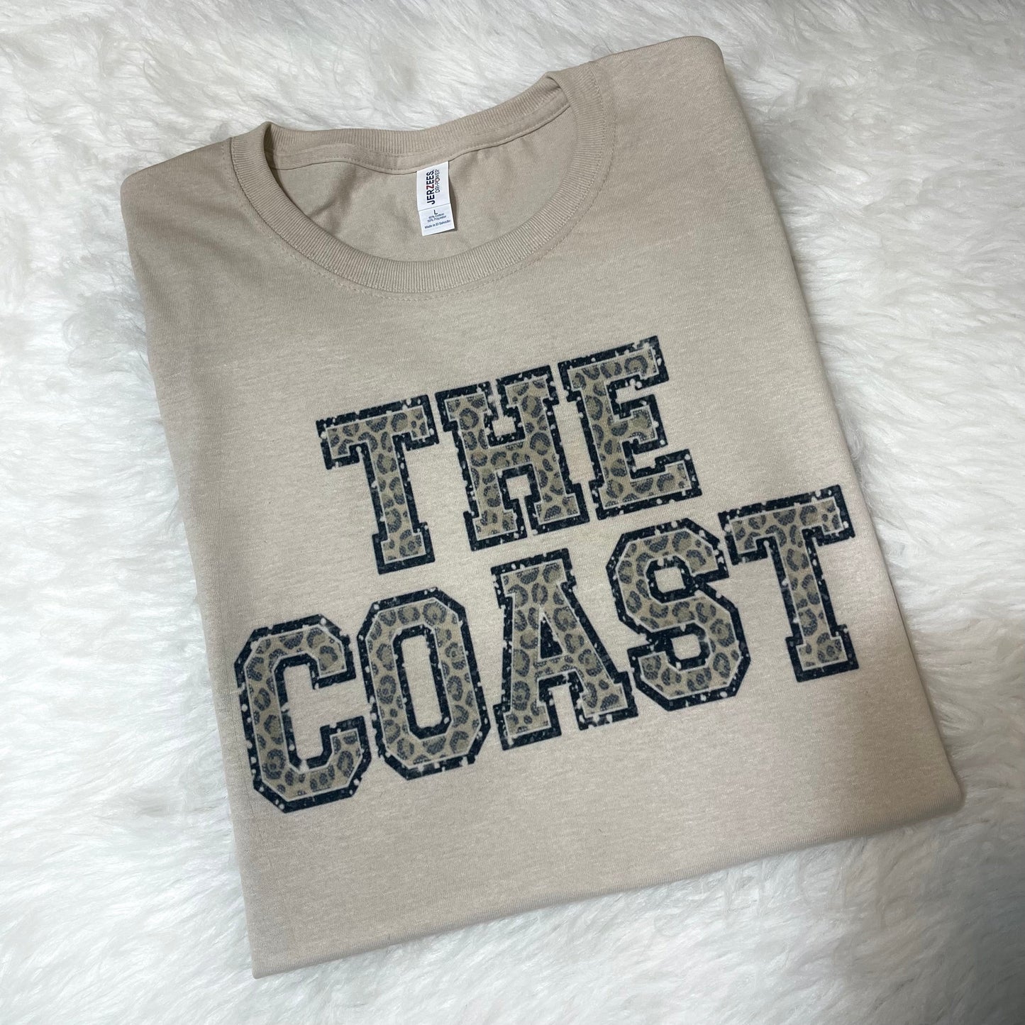 cheetah coast