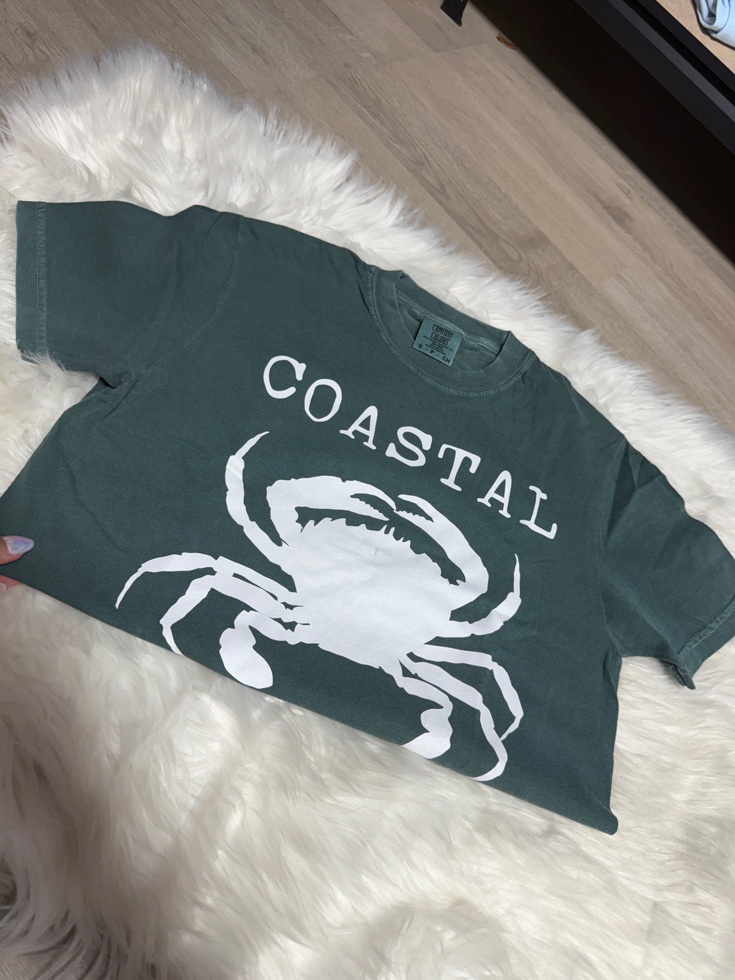 Green coastal crab S
