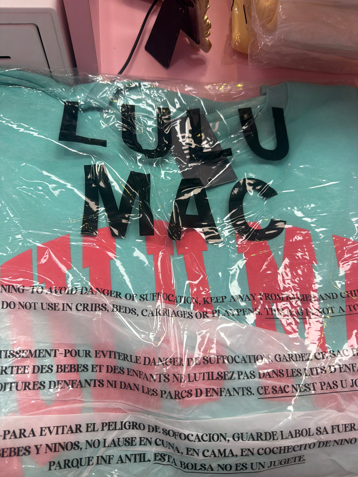 FB7 LULUMAC SWEATSHIRT Teal / Watermelon Puff Print